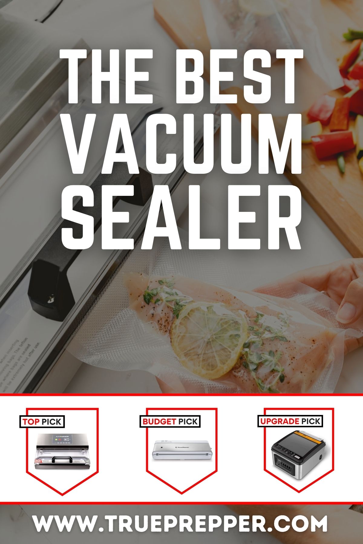 The Best Vacuum Sealer for Food Storage