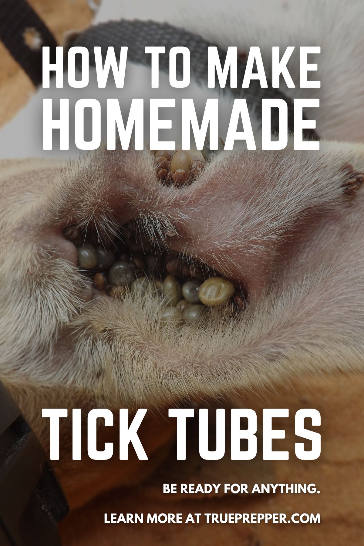 How to Make Homemade Tick Tubes