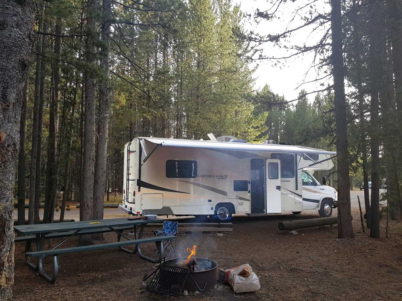 Class C motorhome parked in wooded campsite