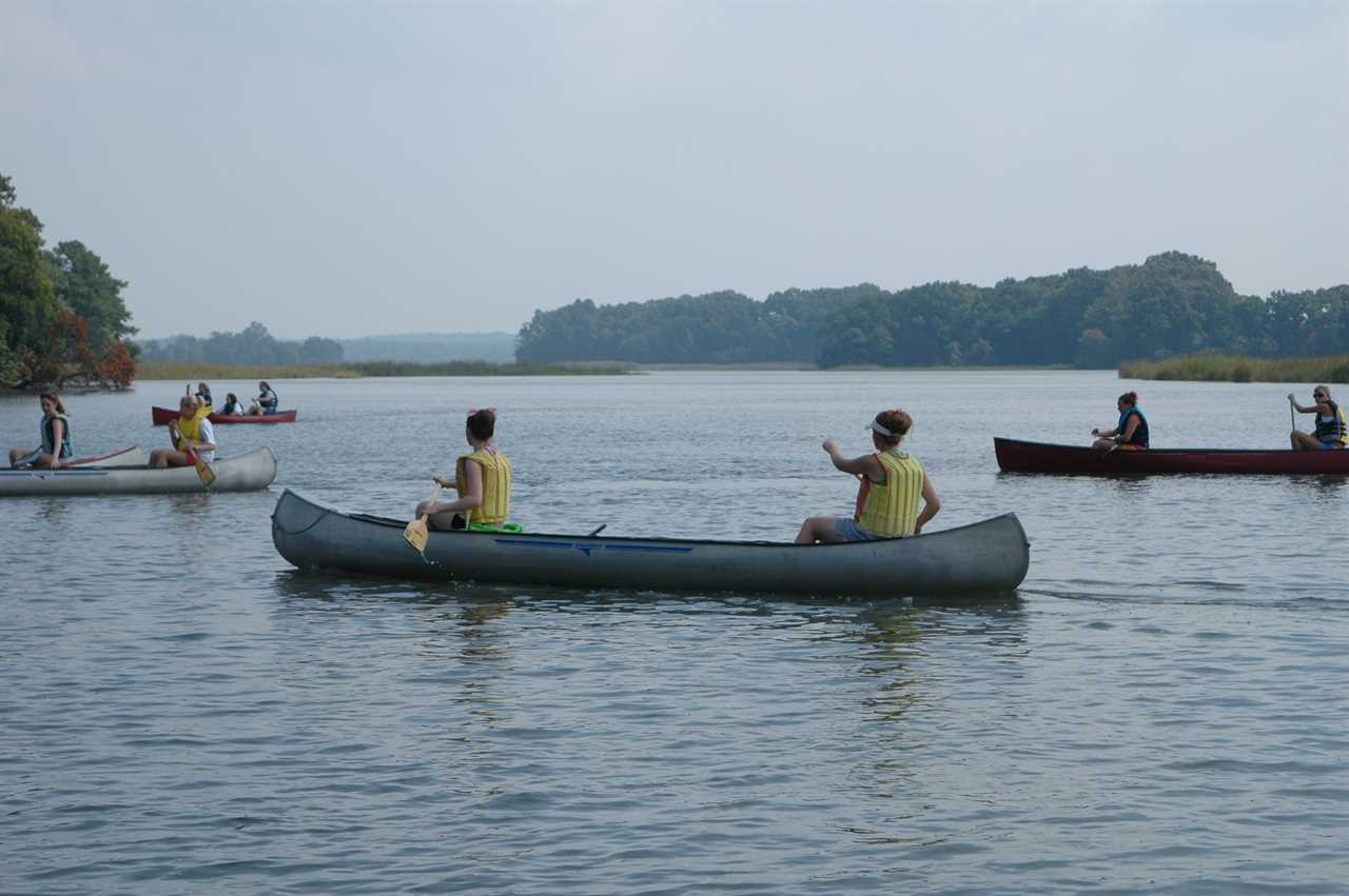 Paddlers propel canoes down a misty river.