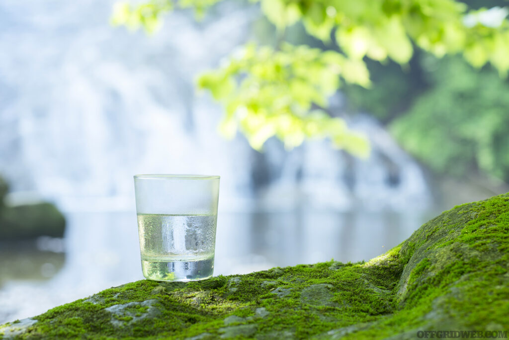 Photo of water in a clear glass placed on a mossy rock.