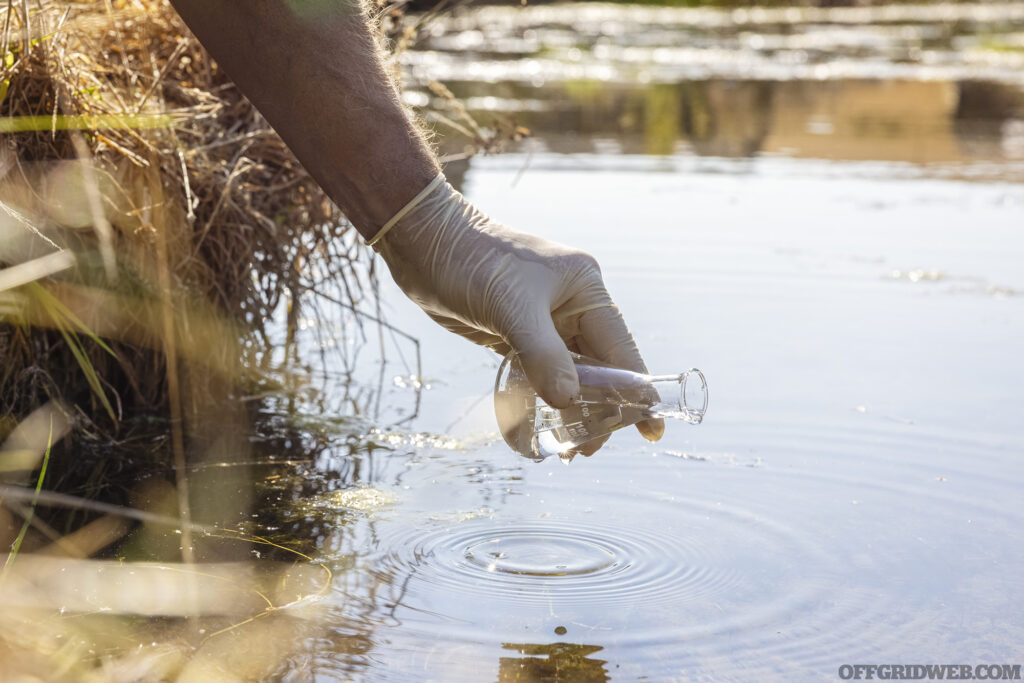 Photo of a latex gloved hand holding a a small beaker about to collect a sample of standing water.
