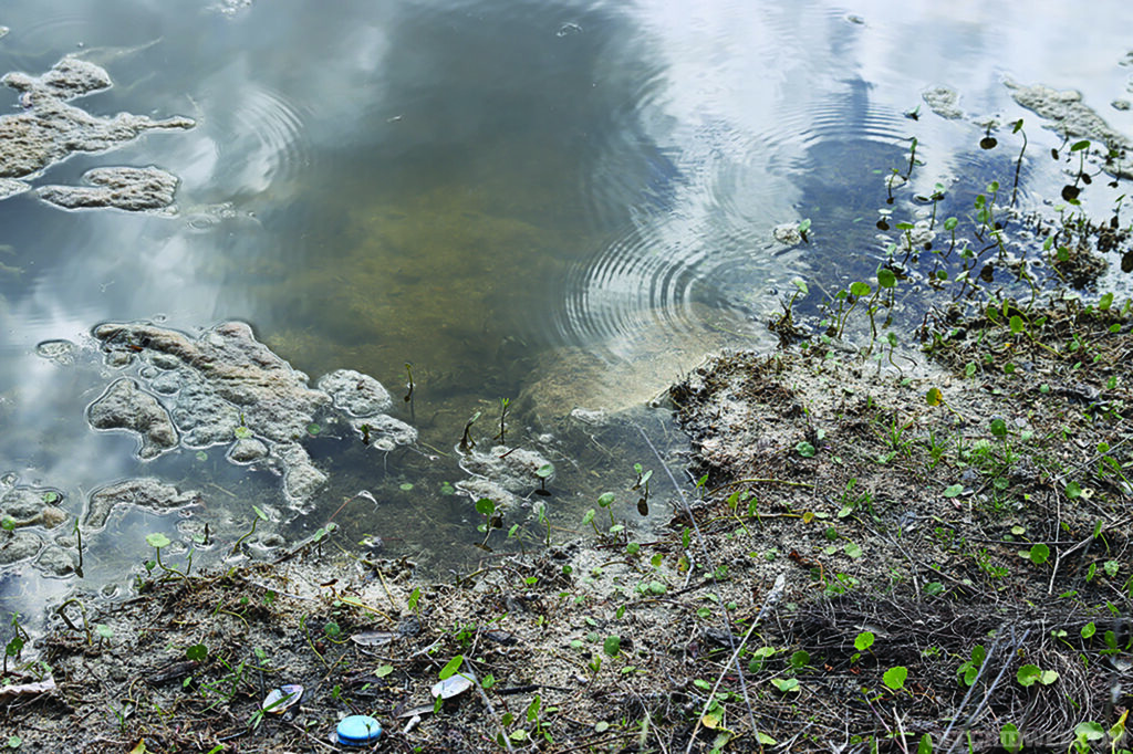 Photo of the edge of murky, still water contaminated with litter.