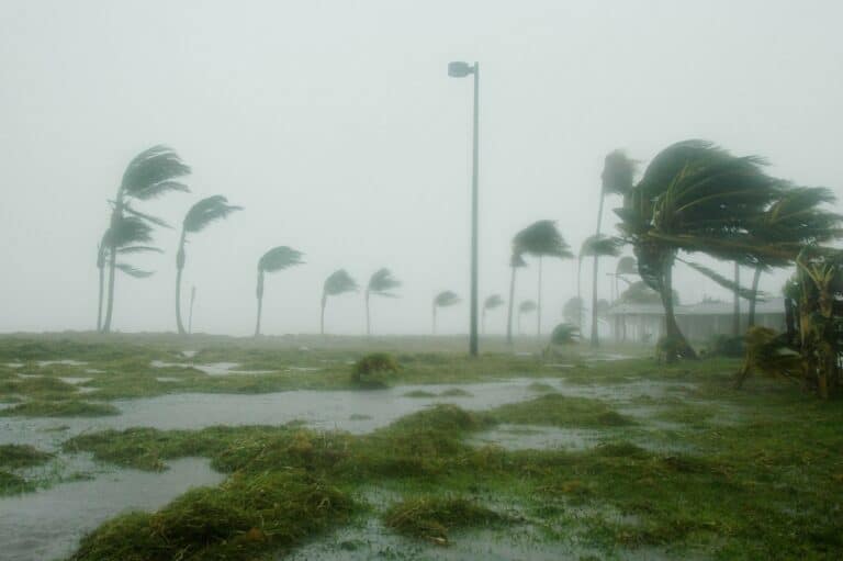 hurricane in Florida, US