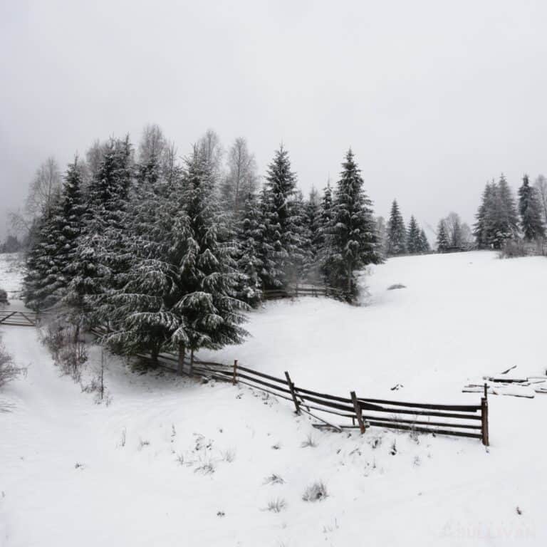 country road and homestead covered with snow