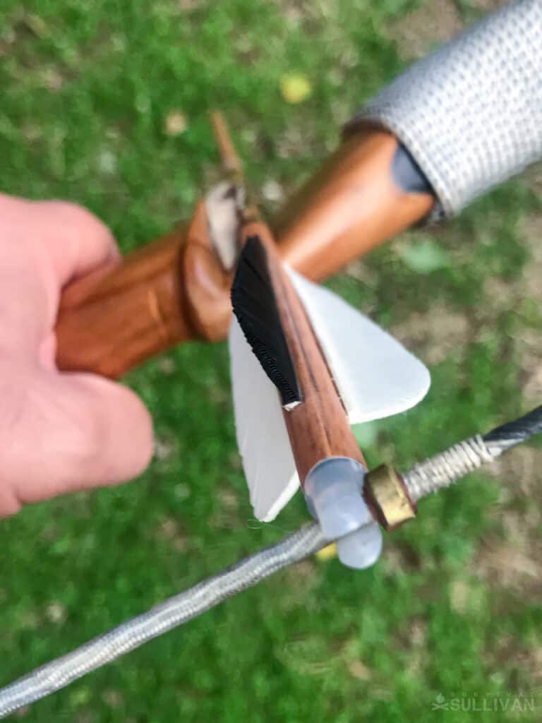 close-up of arrow fletching in two colors