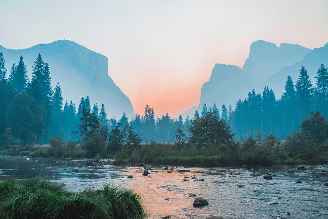 Large creek with pine trees in Yosemite Valley