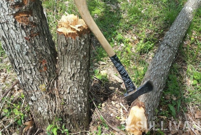 axe next to fallen tree