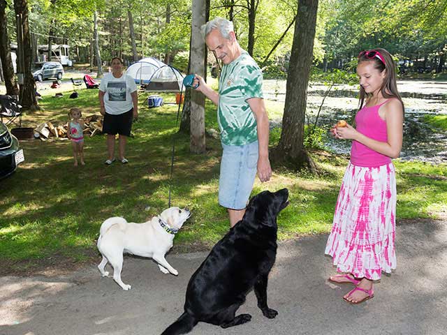 Man and girl with two dogs at campground.