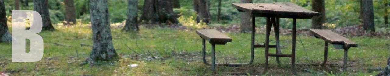 A picnic bench in a meadow. 