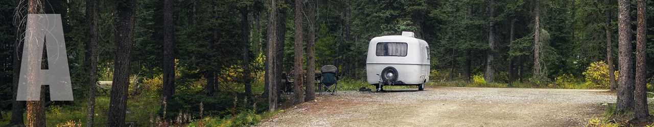 An RV trailer parked amid forest greenery.