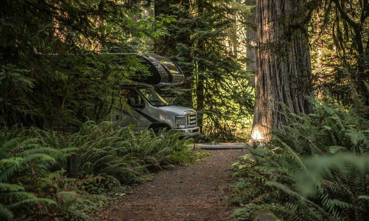 Motorhome in campsite surrounded by tall firs.