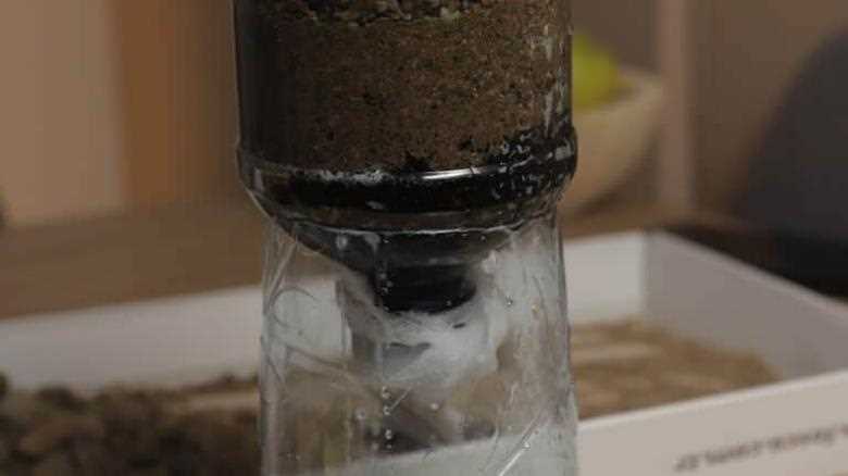 DIY Charcoal Water Filter From a Water Bottle