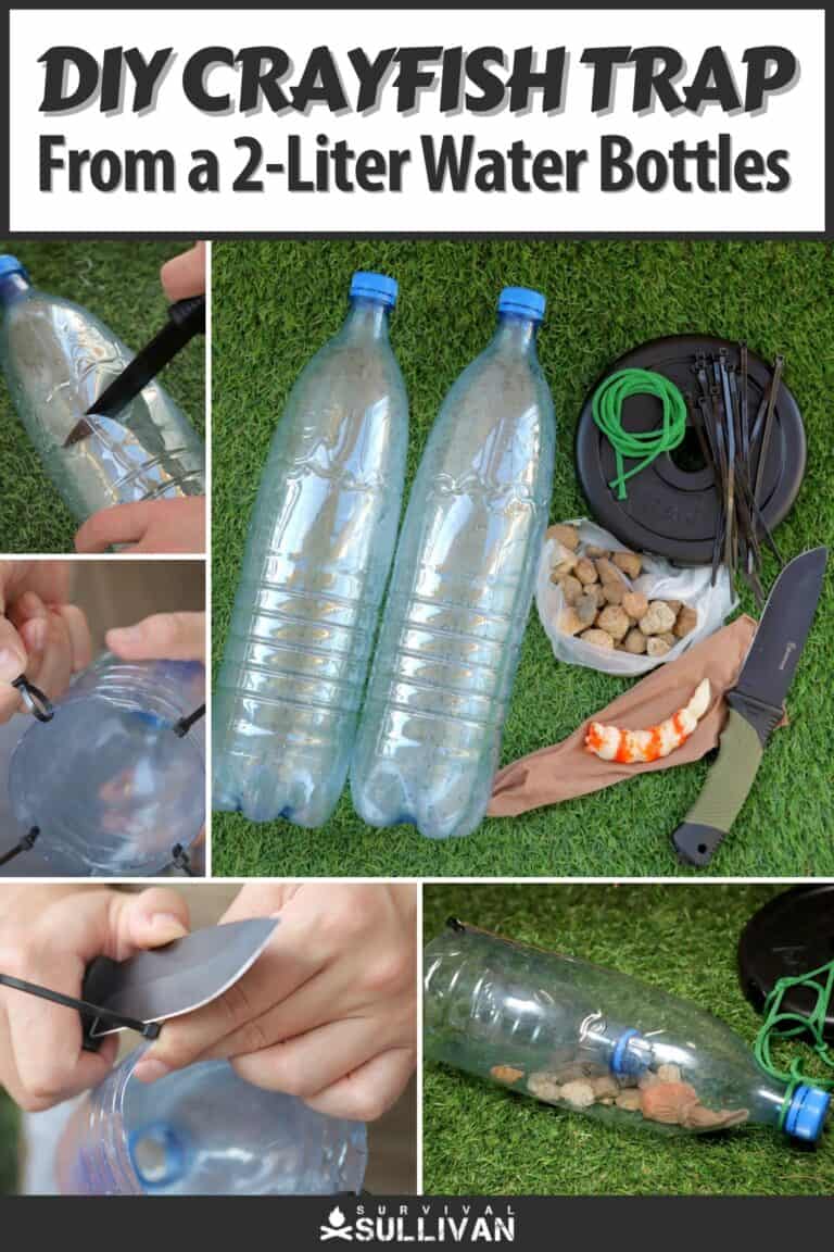 diy crayfish trap pinterest