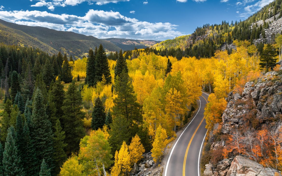 Fall leaves and fall camping in Aspen Colorado 