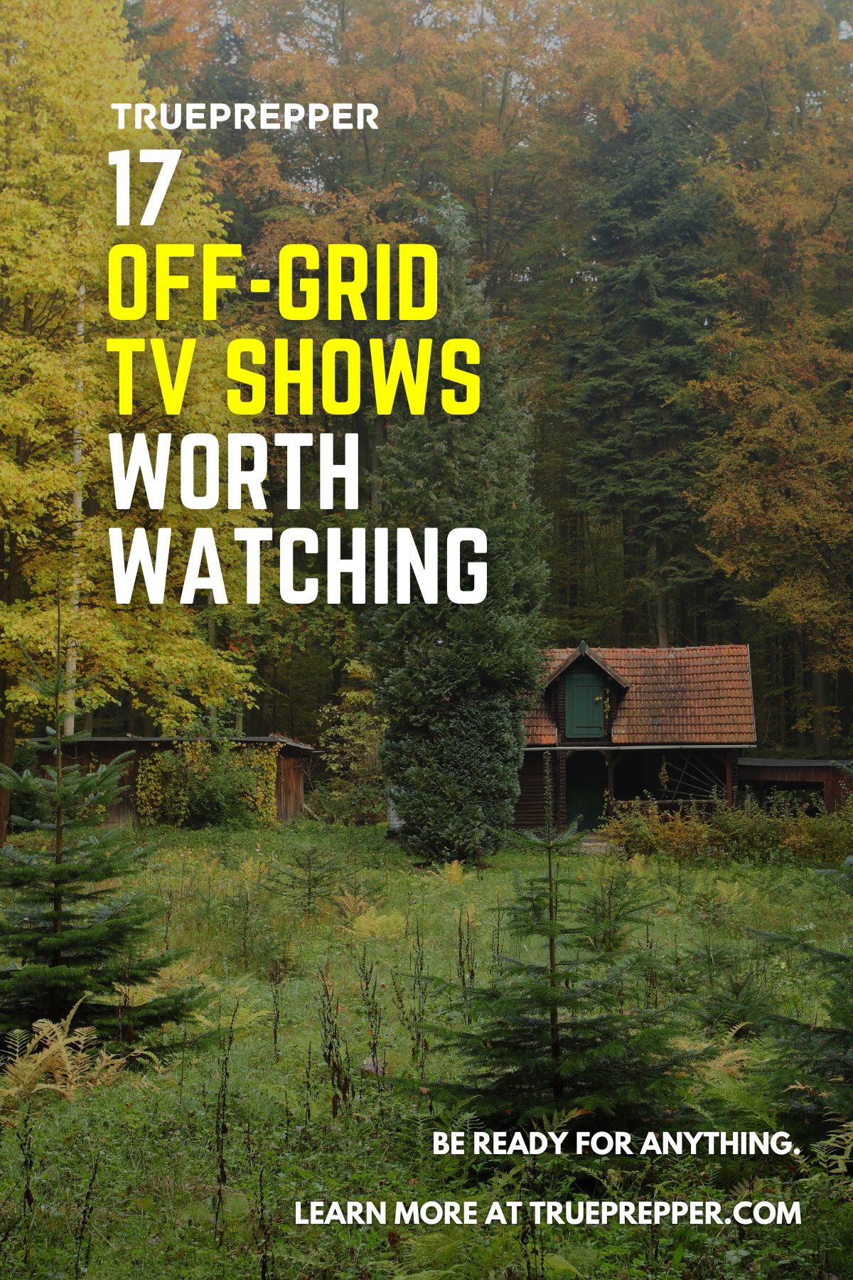 17 Off-Grid TV Shows Worth Watching