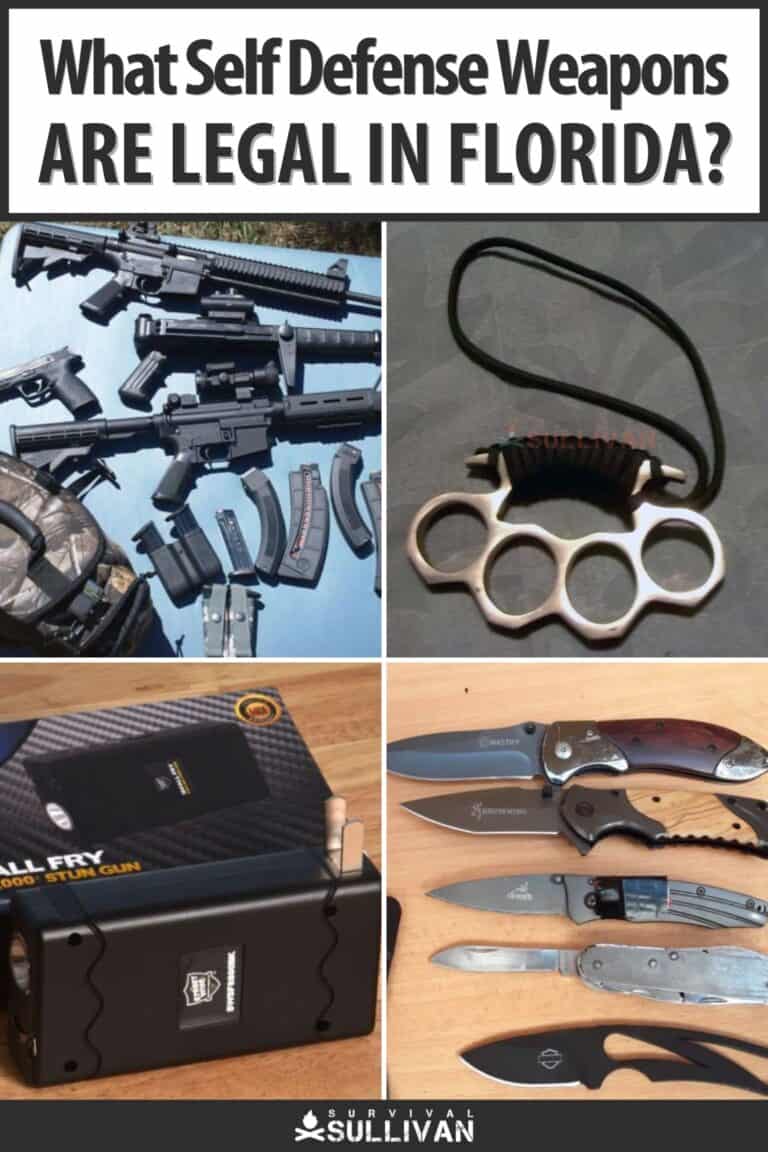 florida legal self defense weapons pinterest