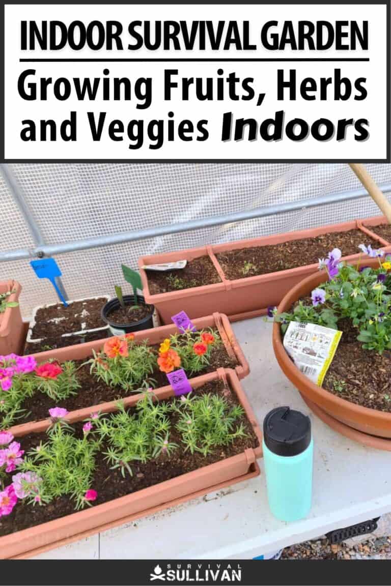 indoor survival garden pinterest