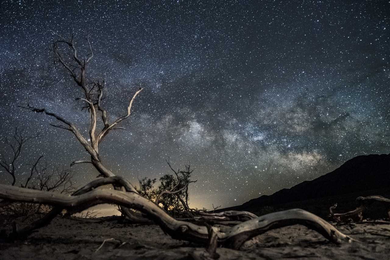 A dried out tree branch under a starry desert sky.