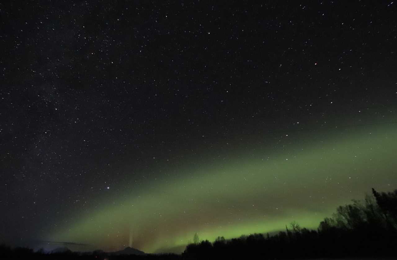 Constellations hang over a band of lights in a forest landscape.