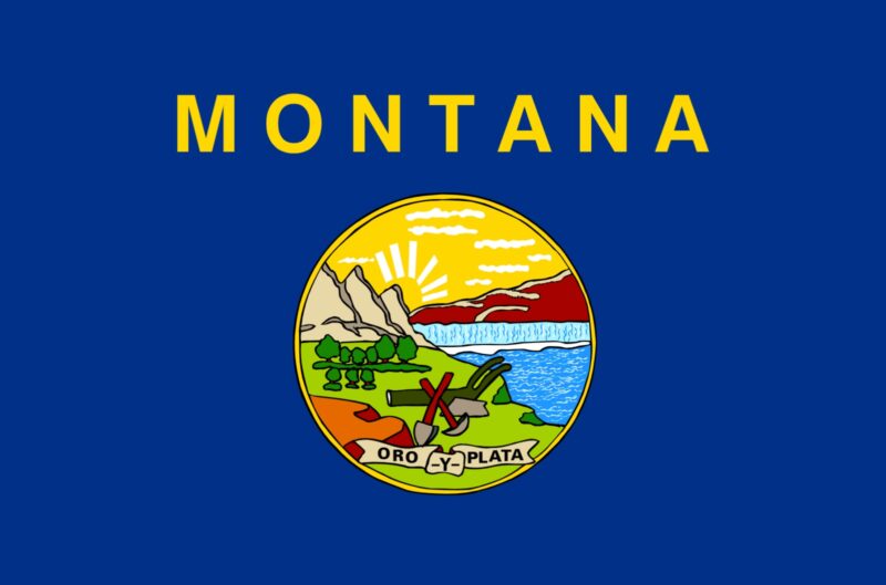 Montana flag