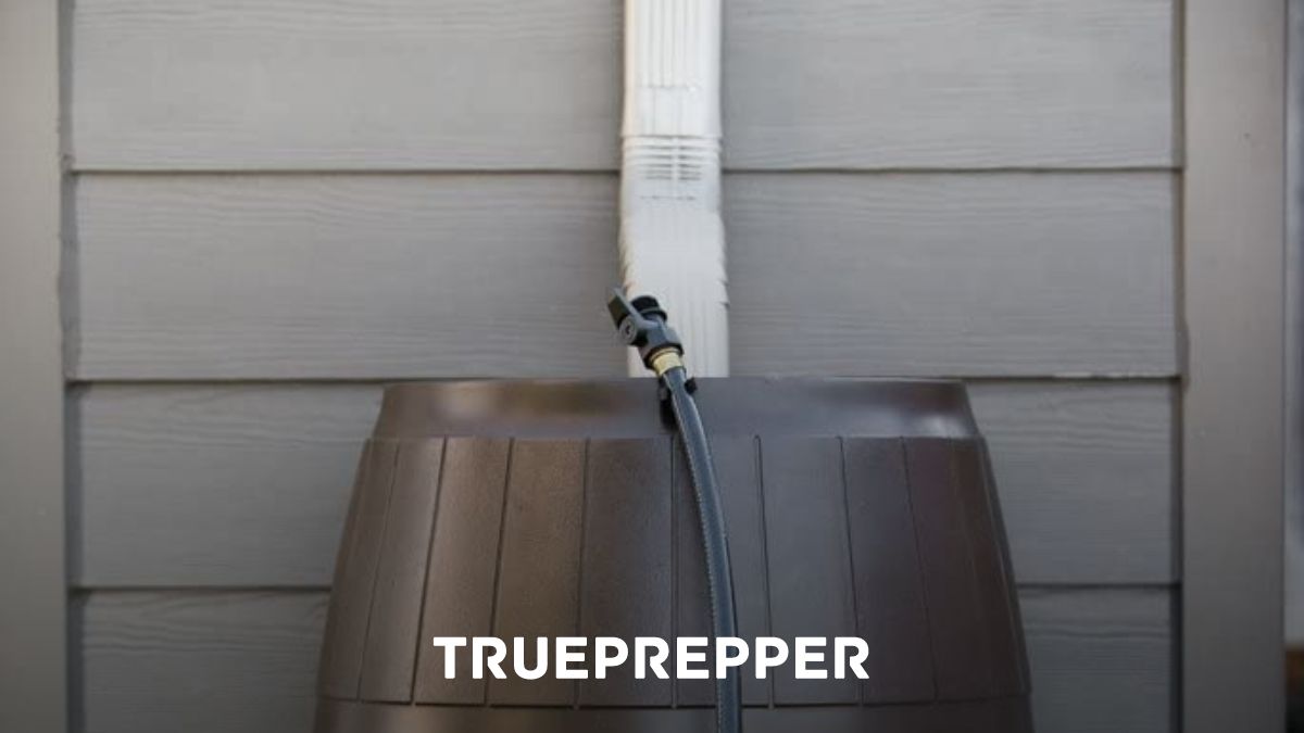 Best Rain Barrel for Prepping and Emergency Water Storage