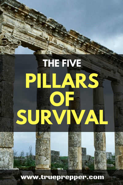 The Five Pillars of Survival