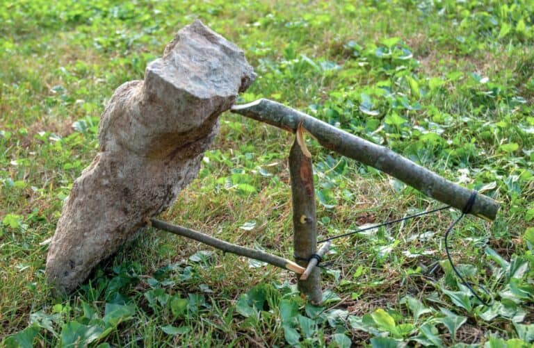 a Paiute deadfall trap