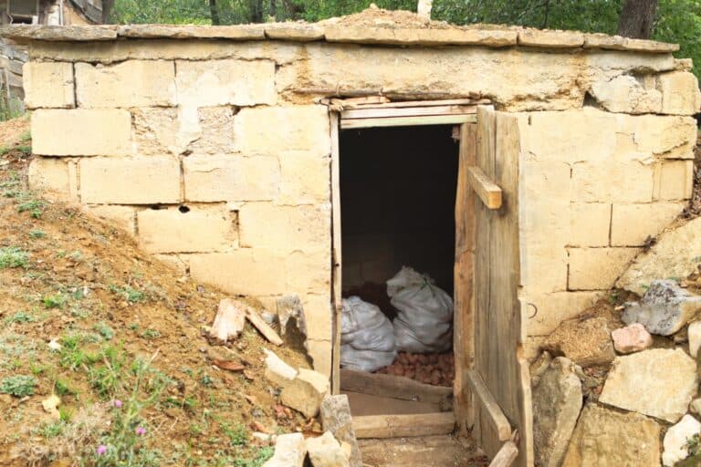 root cellar with lots of potatoes stored inside