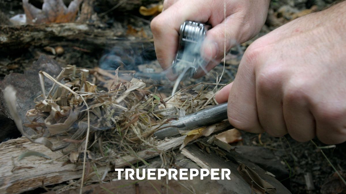 Best Survival Tinder for Fire Starting