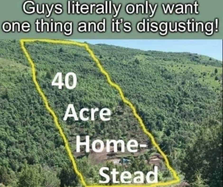 Disgusting Homestead Meme