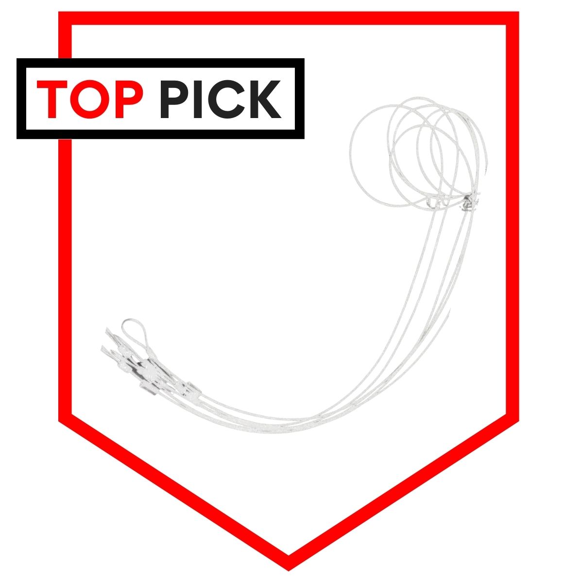 Southern Snares Wire Traps as the Top Pick in our review.