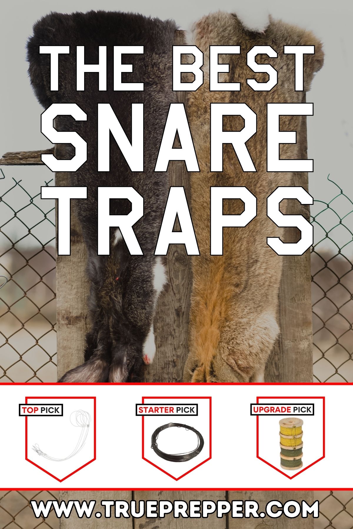 The Best Snare Traps text over skinned rabbits hanging on a fence post.