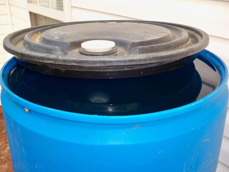 the top of a blue rain barrel filled with water