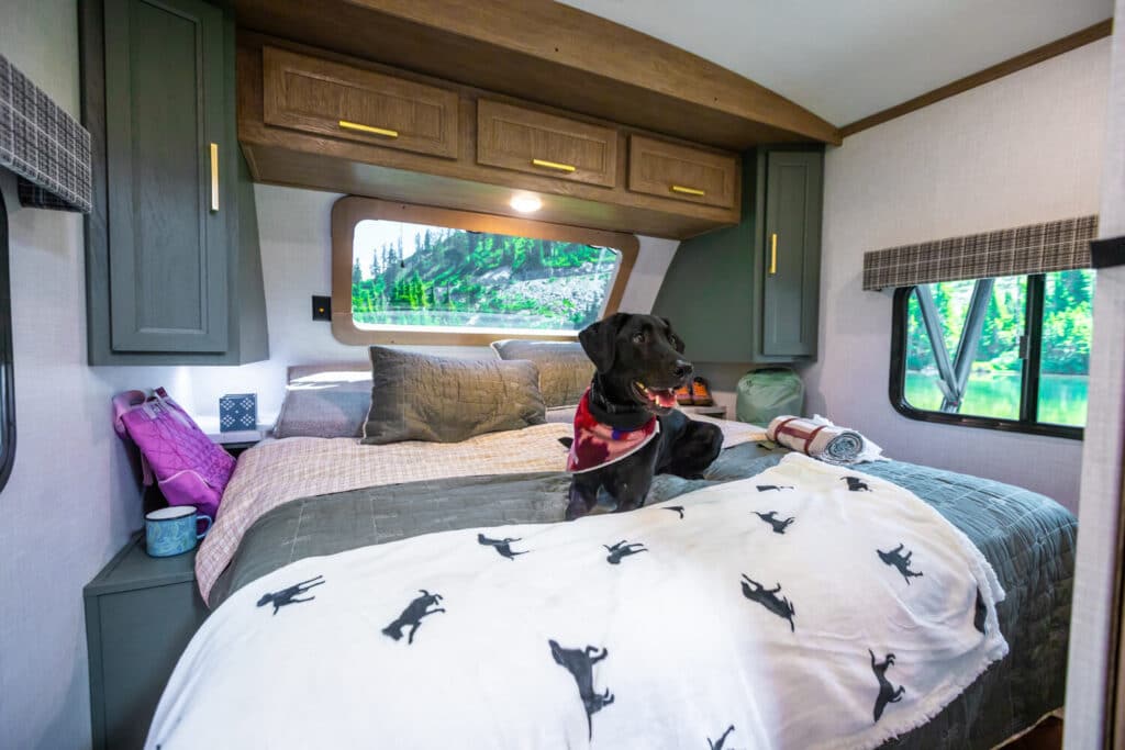 Black lab on the master bed of the Eddie Bauer travel trailer