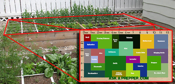 An Awesome 72 Square-Feet SHTF Medicinal Garden Plan