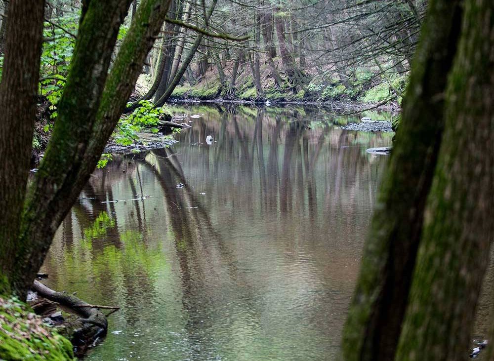 20 Campground Destinations Perfect for Halloween Camping