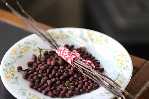 🍂🌿 Fall Flavor Alert: Spicebush – The Appalachian Allspice 🌿🍂