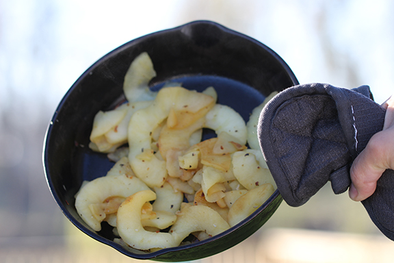 🍂🌿 Fall Flavor Alert: Spicebush – The Appalachian Allspice 🌿🍂