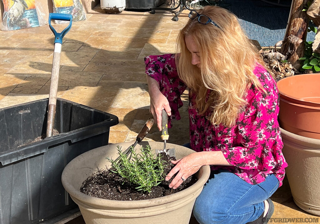 Photo of a woman planting herbs in a flower pot.