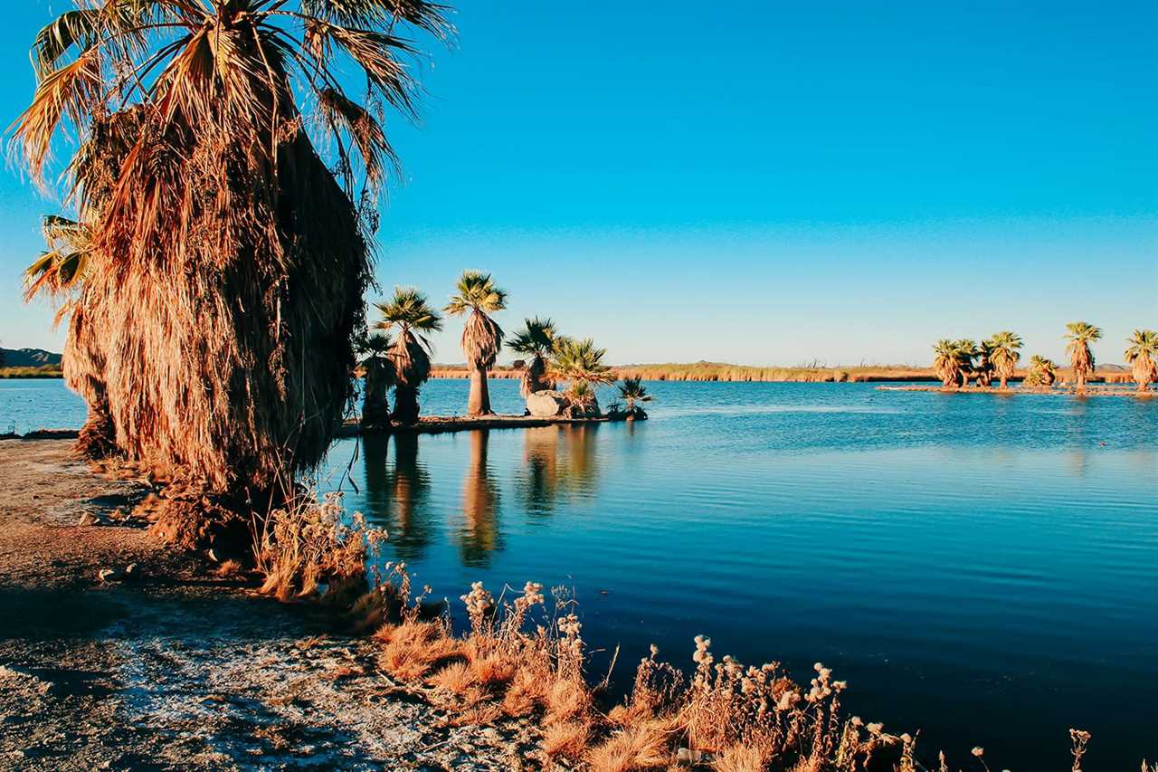 Palm trees reflected on large desert lake.