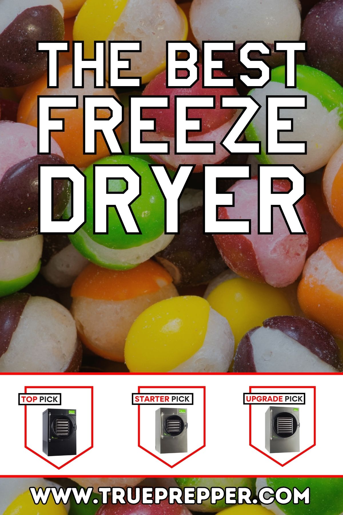 The Best Freeze Dryer