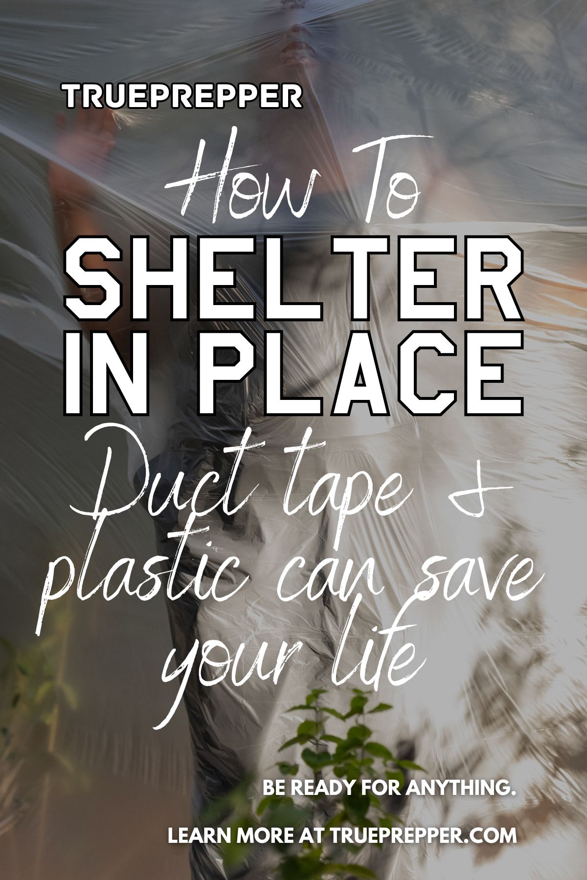 How to Shelter in Place