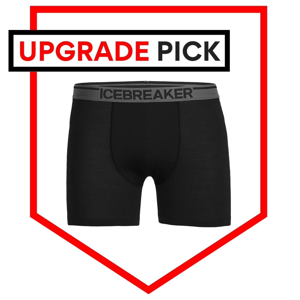 Icebreaker Anatomica Boxers