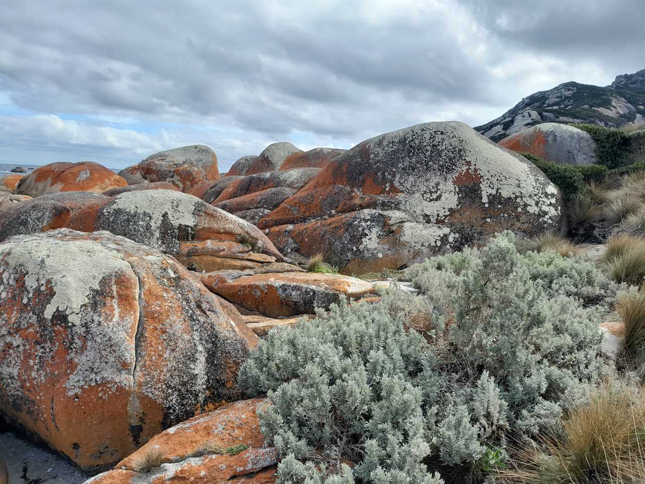 Beyond the Horizon: A Closer Look at Flinders Island