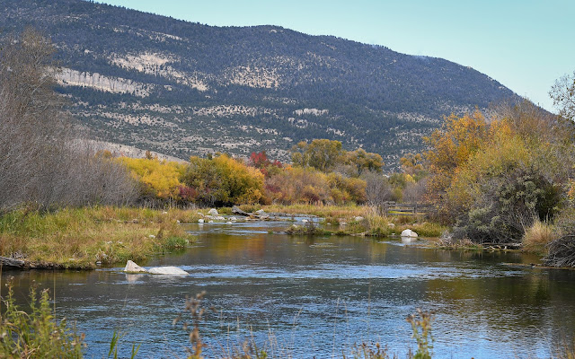 Nelson''s Spring Creek