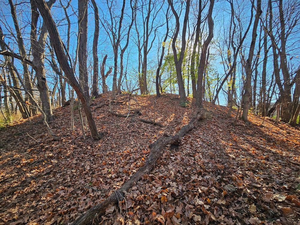 Botzum Mound