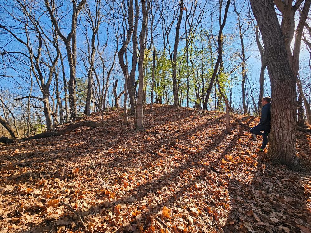 Botzum Mound