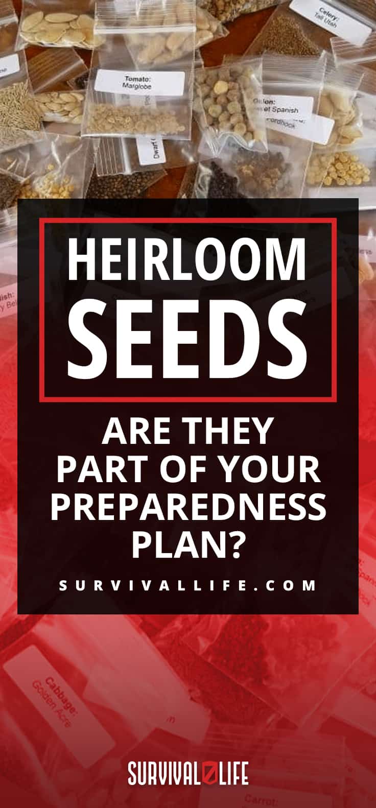 Heirloom Seeds | Heirloom Seeds: Are They Part Of Your Preparedness Plan?