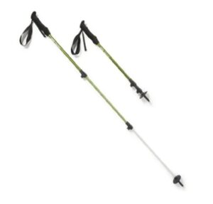 REI Trailmade Trekking Poles